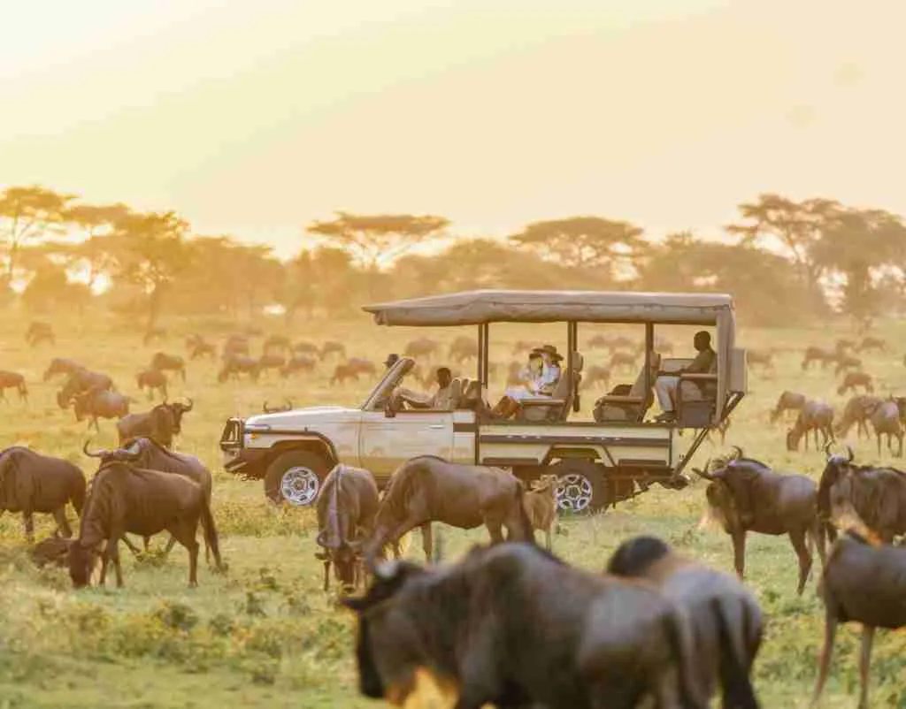 A green safari vehicle drives along a dirt path through a grassy savanna with giraffes and zebras in the background.