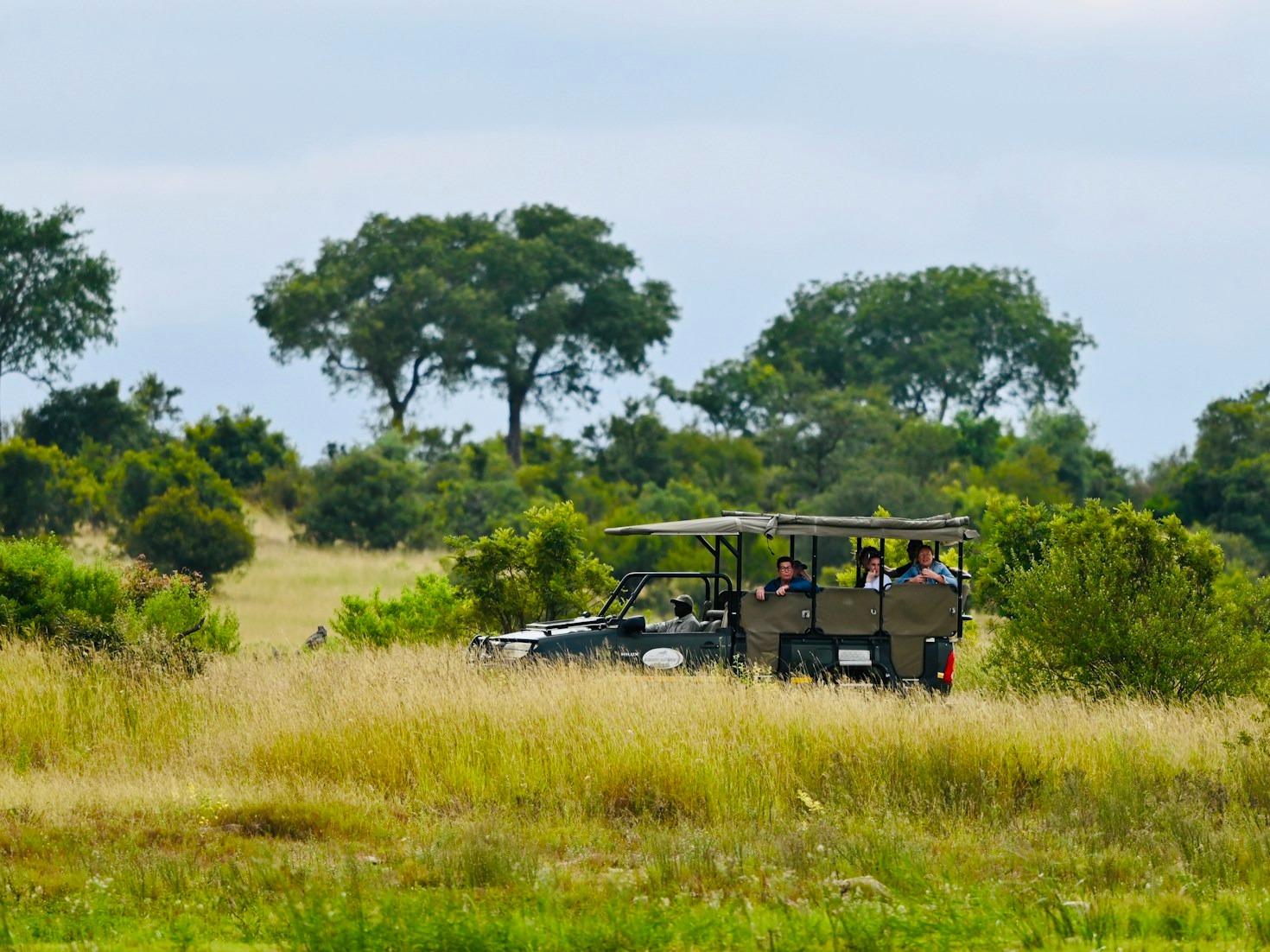 Driving Safely Through Uganda National Parks
