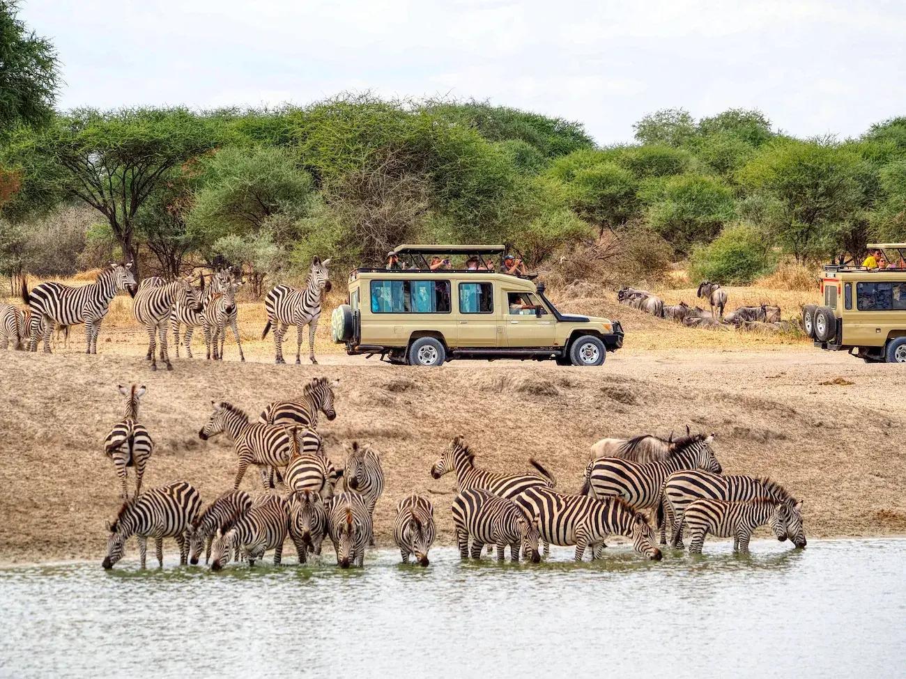 Why Safari Vehicle Hire Is the Best Way to Explore Uganda
