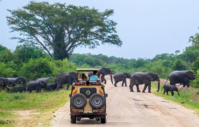 Everything You Need to Know Before Travelling to Uganda