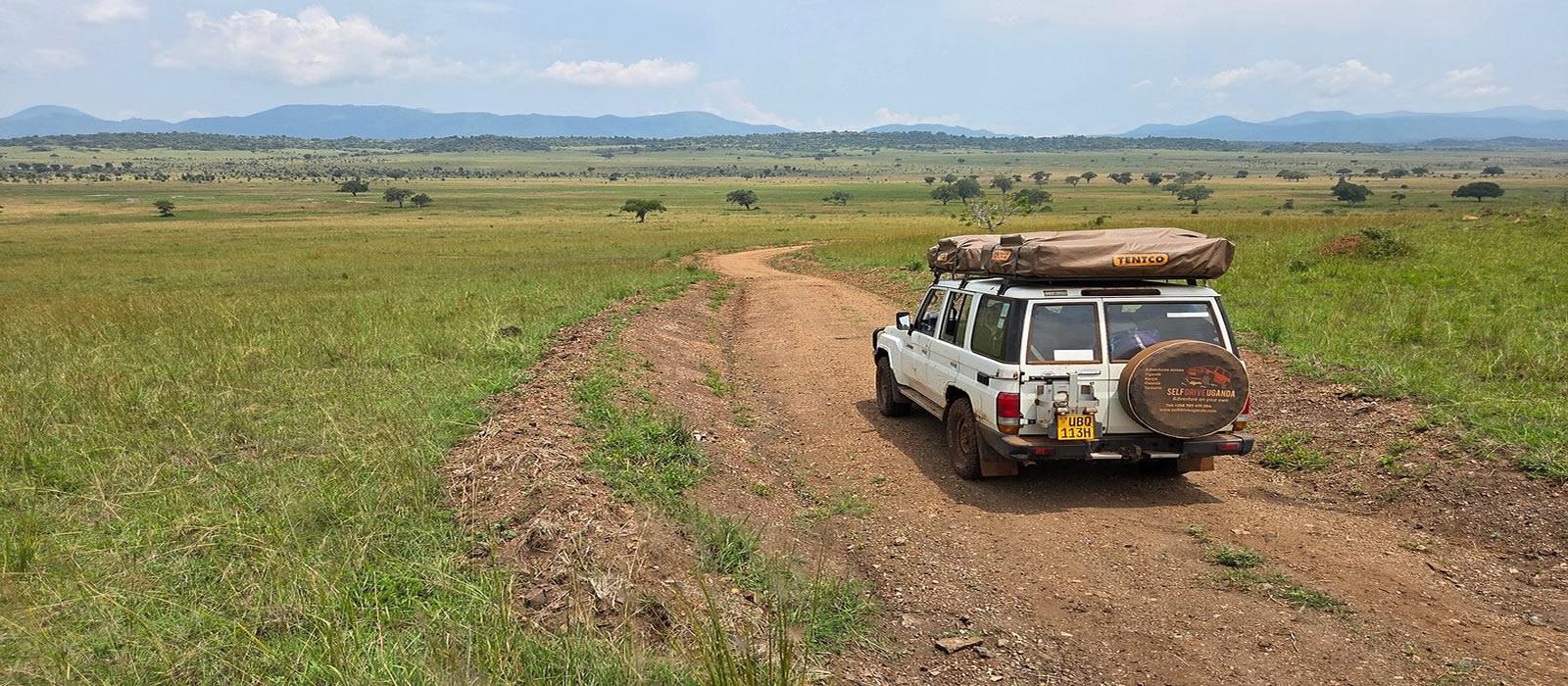 Why Uganda Should Be Your Next African Adventure