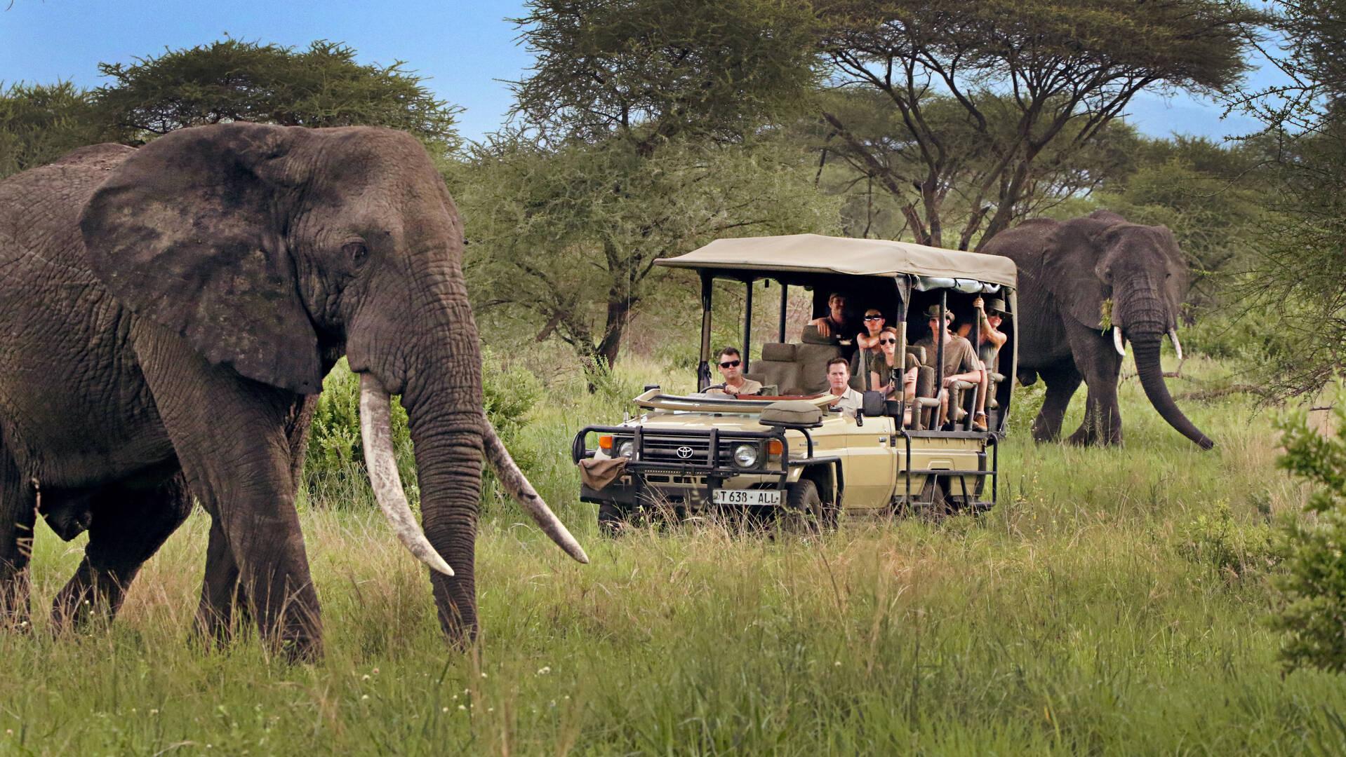 Is Uganda Safe for Tourists? A Complete Guide to Safe Travel in Uganda